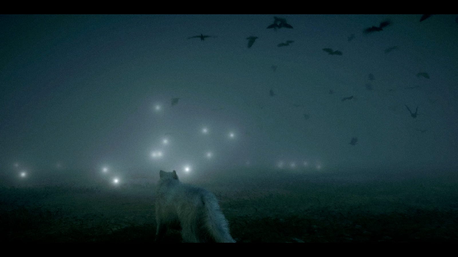 What Happens When You Can Do Nothing in a War Zone?