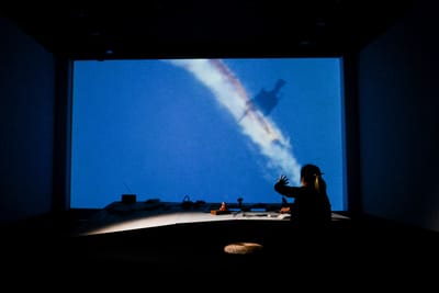 Ina Chen Charts Her Family's Journey From Mao to Migration