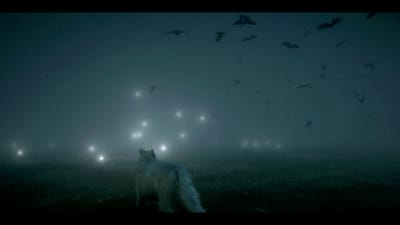 What Happens When You Can Do Nothing in a War Zone?