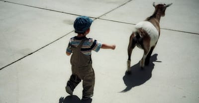 The Global Games Project: Vietnam