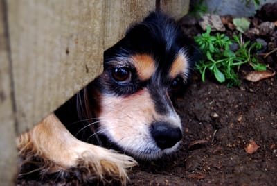 Can games’ stories get out of the way already and let us play?