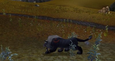 The best quotes from the NSA World of Warcraft surveillance papers