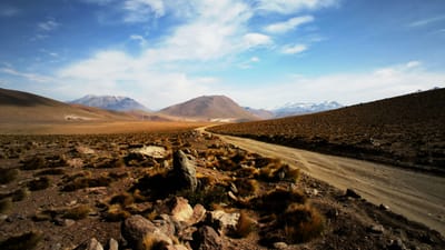 Pathfinder Adventure Card Game loses the trail and gets a little lonely