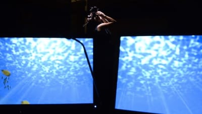 Want people to care about the environment? Show pollution in virtual reality.