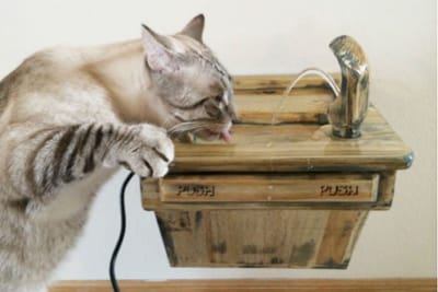 The cat drinking fountain that actually exists and can be bought with actual dollars