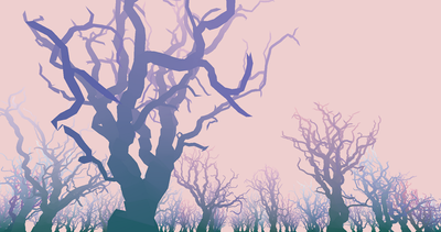 A new video of Starboretum looks at trees in an otherwordly light