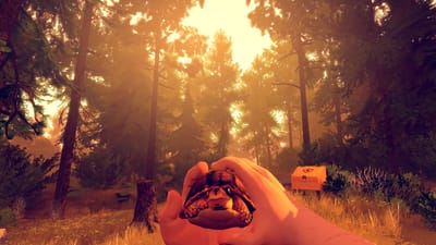 There’s a tortoise in the new Firewatch trailer and it is everything