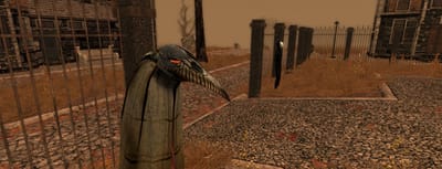 Pathologic and the disease of language