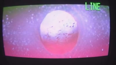 The first eerie footage of Lioness beams in from another dimension