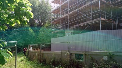 The purpose of Pokémon Go