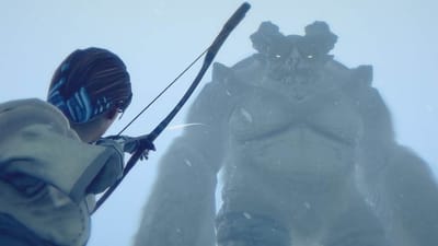 Direct all your love for Shadow of the Colossus this way