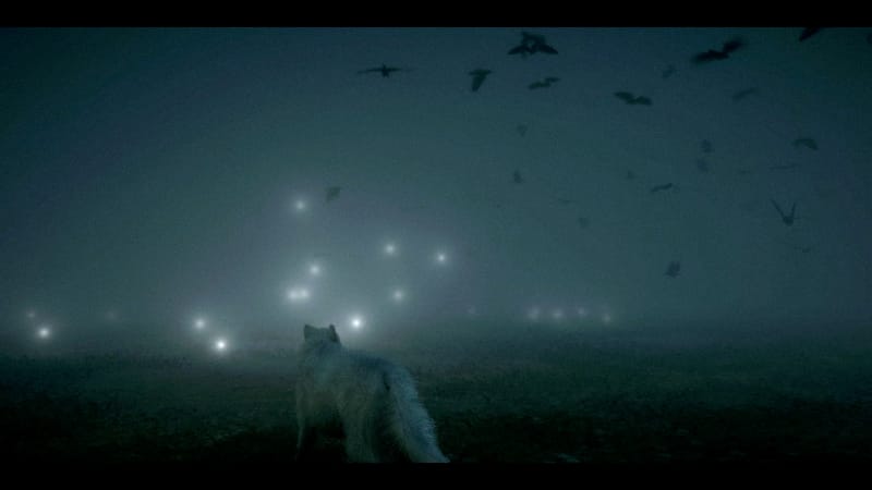 What Happens When You Can Do Nothing in a War Zone?