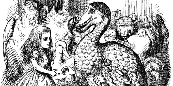 What Can Alice in Wonderland Tell Us About Gamification?