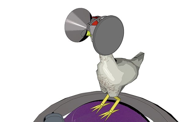 Second Lifestock is the free-range VR simulator our chickens deserve