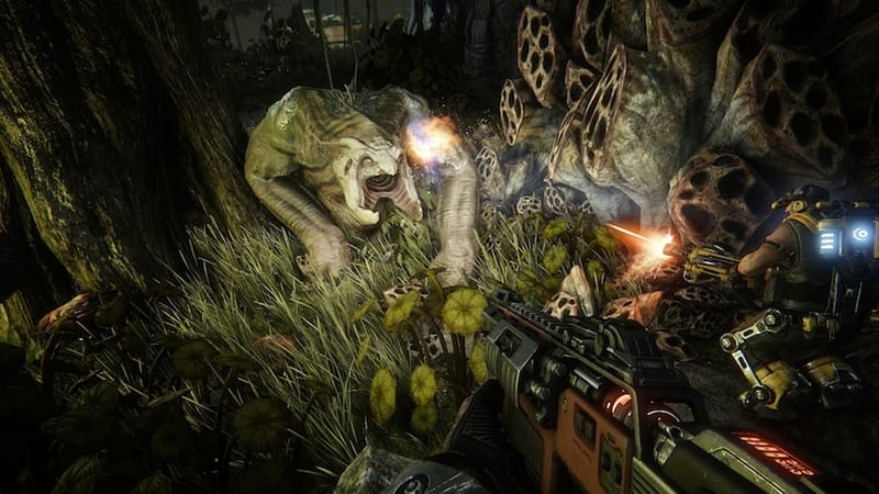 The fast life and times of a monster in Evolve