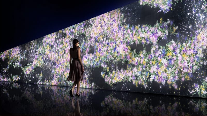 Infinity of Flowers reveals the birth and death of flowers in real time