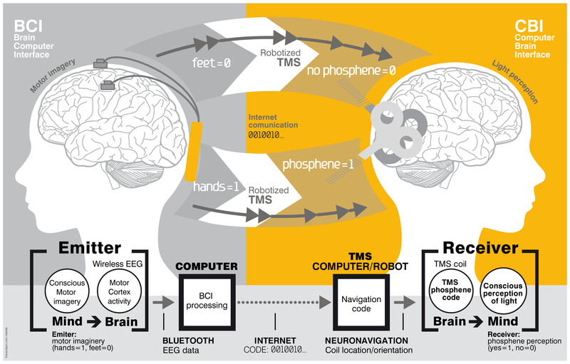Spanish scientists make first steps toward actual telepathy