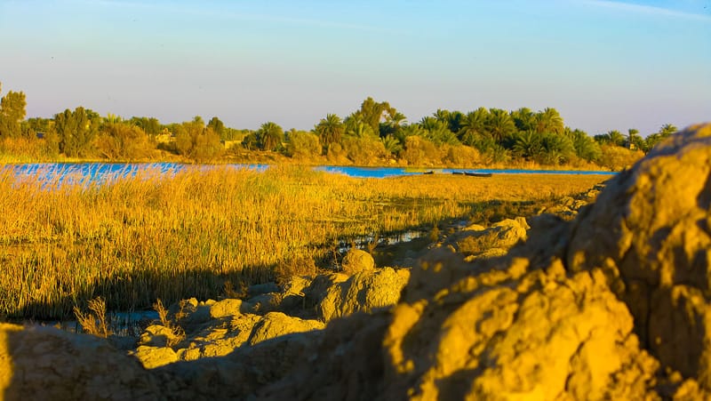 A family of English architects is rebuilding Iraq
