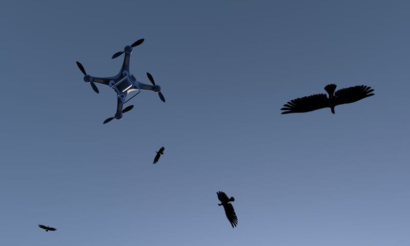 Sky Burial proves that drones can be macabre even when they aren’t deadly