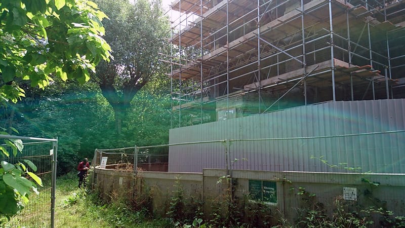 The purpose of Pokémon Go