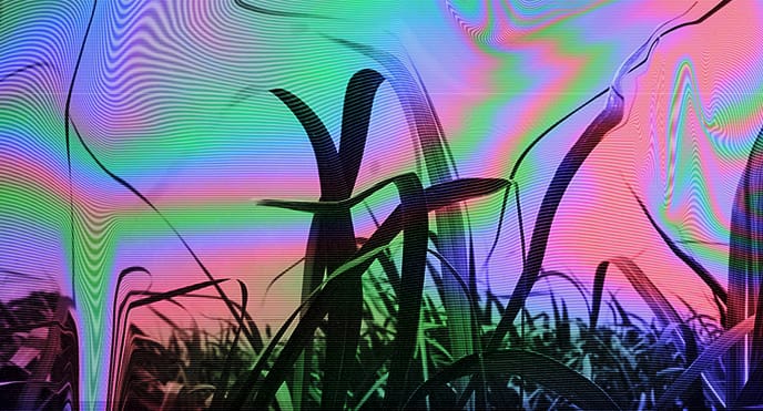 John Darnielle’s next novel is a horror story about fragmented video tapes